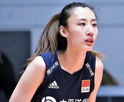 白莫菲家庭背景,出身名门，传承家族荣耀的传奇人生