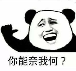 你是演员 表情包,表情演绎——我是演员