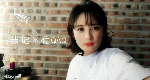 娱乐圈最勤奋,砥砺前行，成就非凡