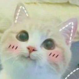 洛凡表情包,网络时代的表情符号狂欢