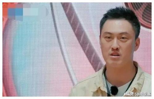 娱乐圈小说吃瓜爆料完结,吃瓜爆料大结局揭秘