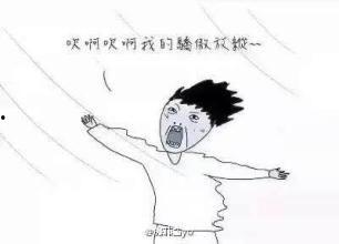 野子 表情包,传递欢乐与正能量的网络文化现象