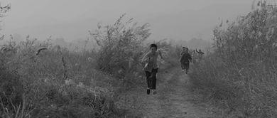 塬上 演员表,揭秘演员阵容，演绎时代变迁